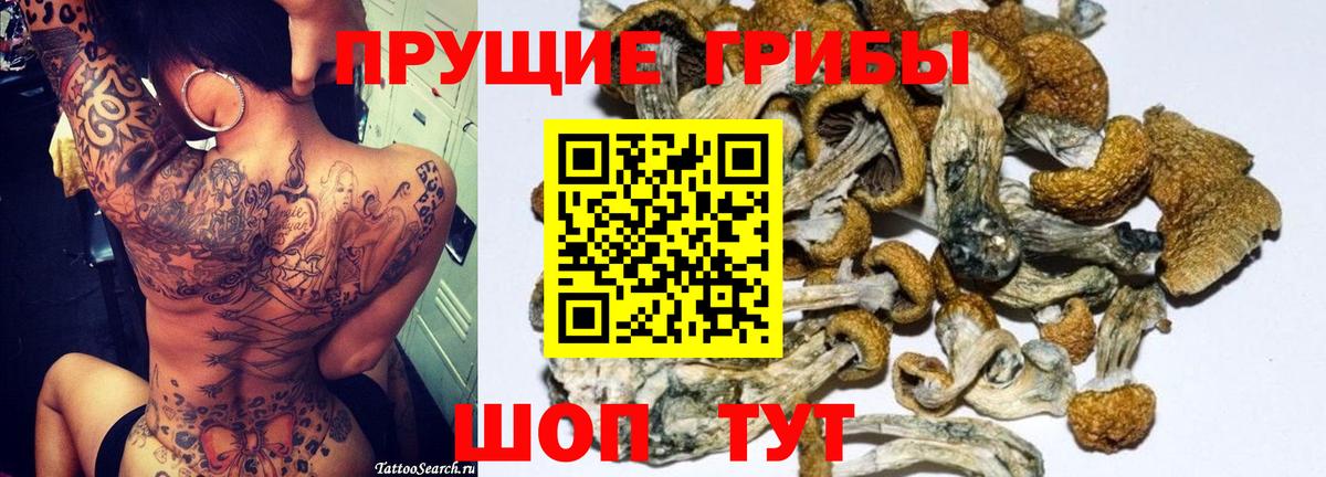 Белорецк  Псилоцибиновые грибы Psilocybe  Галлюциногенные грибы Psilocybe  Вход с VPN 
