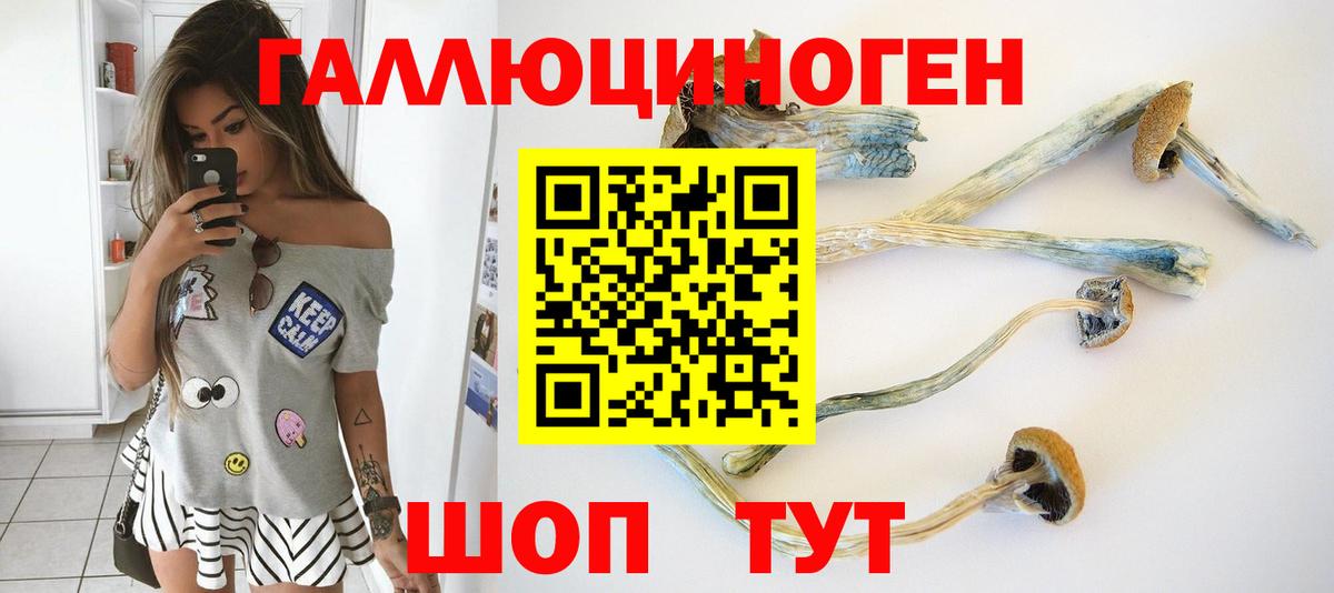 Псилоцибиновые грибы мицелий Белорецк
